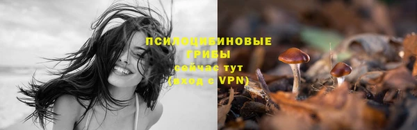 герыч Магадан