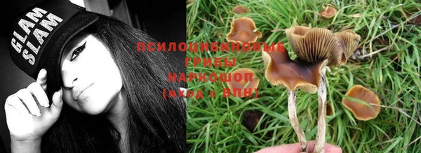 дистиллят марихуана Магас