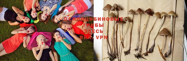 соль ск Майский