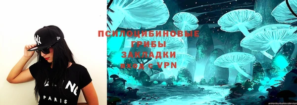 спайс Медвежьегорск